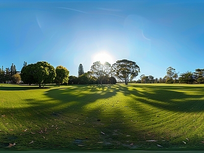 现代户外HDR 白天郊外树林