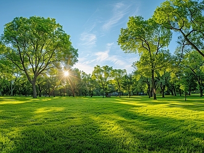 现代户外HDR 郊外树林