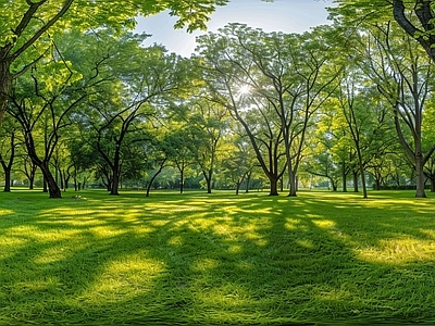 现代户外HDR 郊外树林