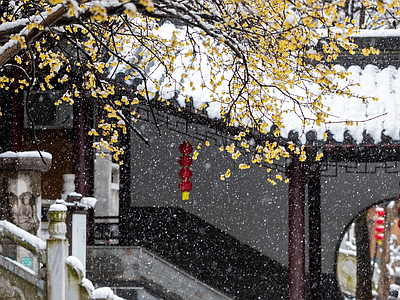 现代街道外景 灵谷寺