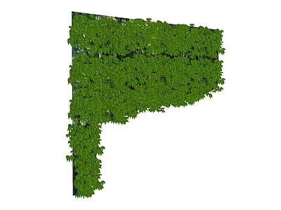 植物组合 组合爬墙