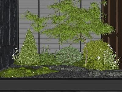 植物组合 室内 花草 枫树 庭院小品