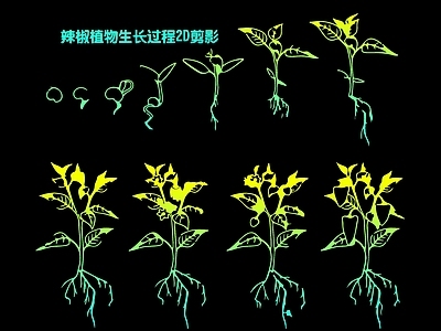 现代挂件 辣椒植物生长过程