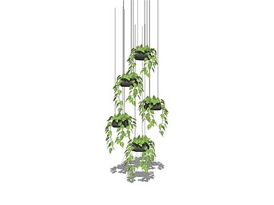 藤蔓 花架藤蔓 吊篮藤蔓 廊架藤蔓 藤蔓 花墙藤蔓
