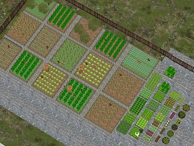 现代其他农业建筑 蔬菜农作物