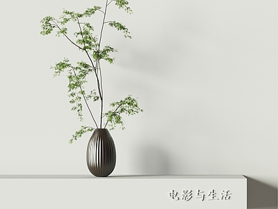 现代植物摆件