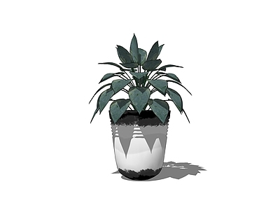 盆栽 盆栽
