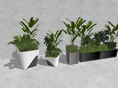 植物组合 商业花箱