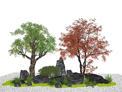 乔木 庭院植物组合 植物造景 造型树 枫树 创意石块石头