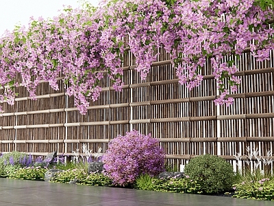 藤蔓 花草 植物堆 花园 户外沙发 竹篱花卉