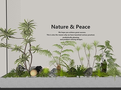 植物组合 植物堆 植物景观 植物造景 景观造景