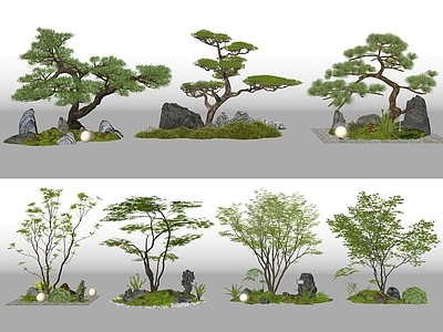 现代庭院小品 景观造景 景观树 枫树 松树 庭院景观