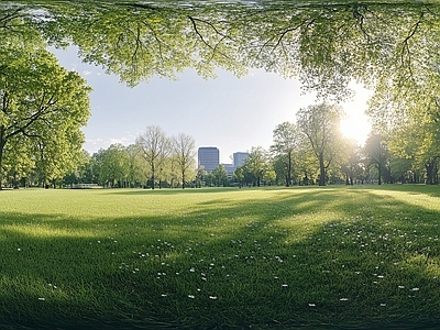 现代户外HDR 公园森林草坪