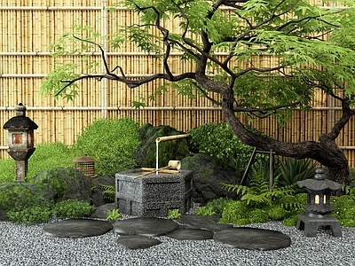 日式新中式水景 水钵 水缸水景 庭院水景 灌木 植物组合 枫树