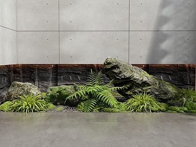 现代石头 室内景观 苔藓 花草 景观造景 景观石