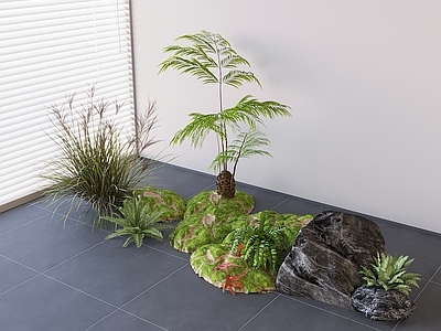 植物组合 植物石头造景 植物绿植植物堆 苔藓植物
