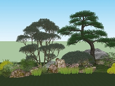 灌木 中式园林造型松 造型松造型树 古典园林造景 造型松景观植物组 灌木乔木植物组合