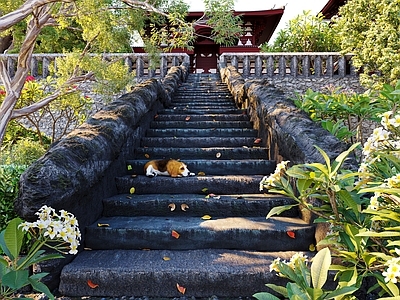 现代乡村景观 中式景观