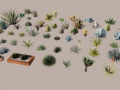 植物组合 2D热带植物