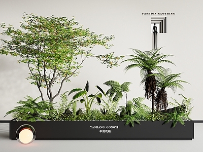 植物堆 现代室内植物造景 景观造景 庭院小品 景观树