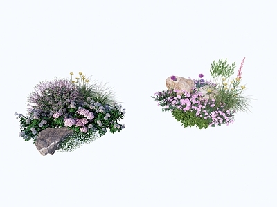 花草 植物花境 花草组合 绣球花
