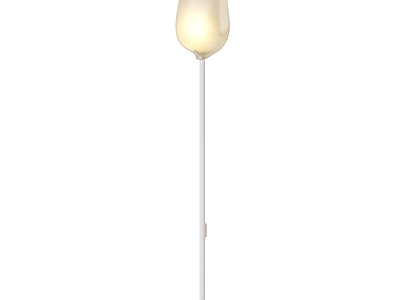 现代Sconce Light现代壁灯