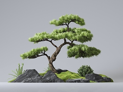 新中式庭院小品 新中式松树景观 迎客松 庭院景观 松树