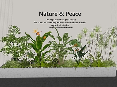 植物组合 植物堆 庭院小品 植物景观 景观造景 盆栽组合