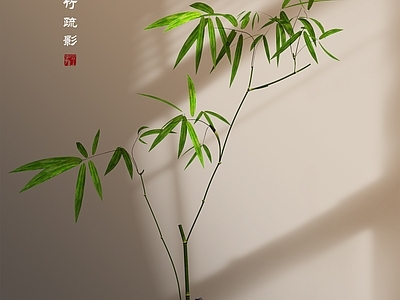 现代中式花艺 绿植 茶桌 盆景 书桌 竹