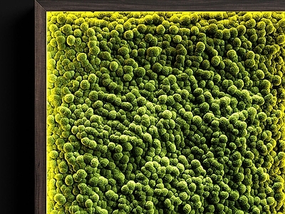 现代植物堆 现代植物墙