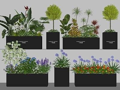 植物组合 花草组合 花坛花钵 外摆植物花箱 植物堆 灌木球
