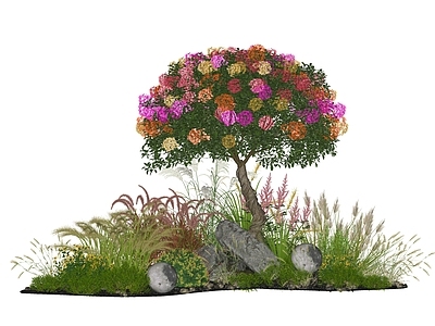 植物组合 现代植物花草 狼尾草 三角梅 庭院花草 景观石头
