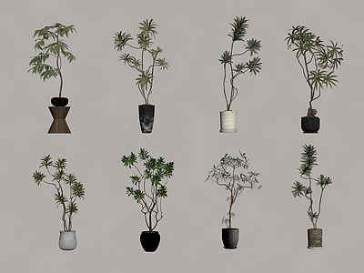 盆栽 中古风绿植盆栽