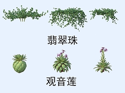 草 植物 花草 翡翠