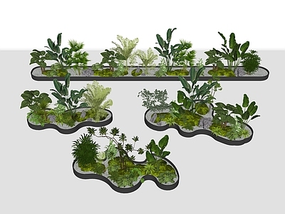 植物组合 树池植物组合 盆栽组合 室内种植池 室内绿植景观