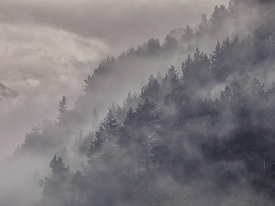 现代新中式风景 云海 诗意意境 山 松林