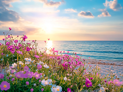 现代风景 花海