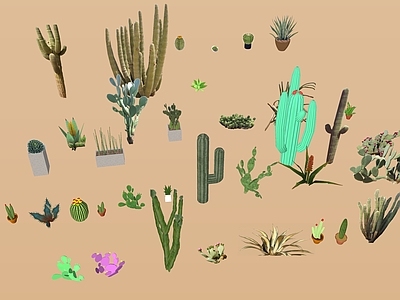 植物组合 盆栽组合 仙人掌道具