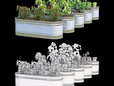 农作物 现代菜园 花园植物 农作物 蔬菜 绿色植物