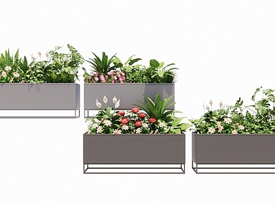 植物组合 花箱 移动花箱 户外花箱 树池植物组合 盆栽组合