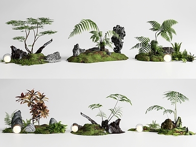 现代庭院小品 景观小品 蕨类植物组合 园林景观 景观造景 植物盆栽