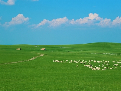 现代风景 草原