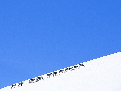 现代风景 雪景