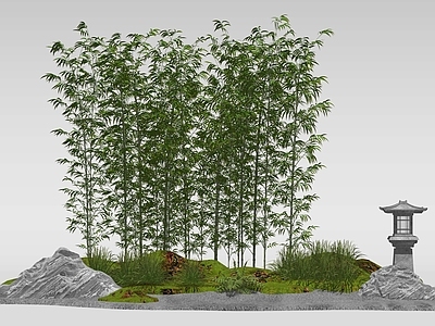 竹子 新中式竹子景观 苔藓 景观造景 盆栽竹子 树池竹子