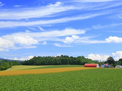 现代风景 农田 白天