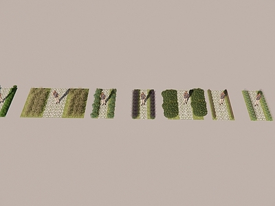 花草 植物组合ens