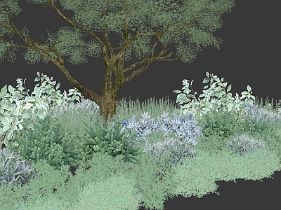 灌木 花境组合 灰蓝色花镜