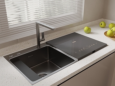 现代水槽 水槽 洗菜盆 电磁炉