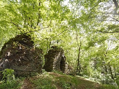 现代风景 森林 遗迹