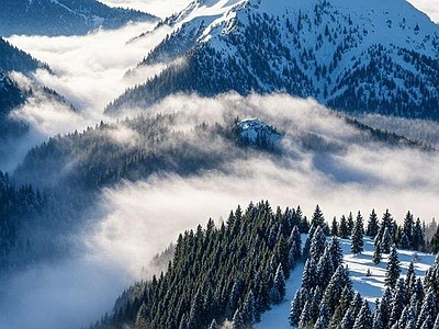 现代风景 冬天 山 雪景 云海 森林